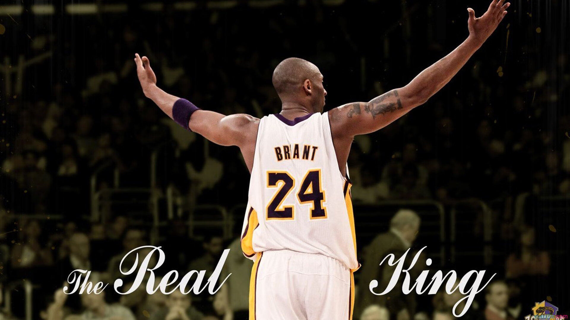 暗夜中的定盘星，世界排名乱战里，西亚卡姆的无聊有多可贵？